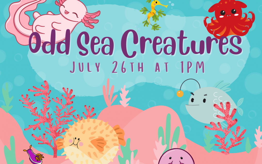 Odd Sea Creatures