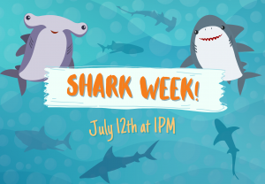 Shark Week 🦈